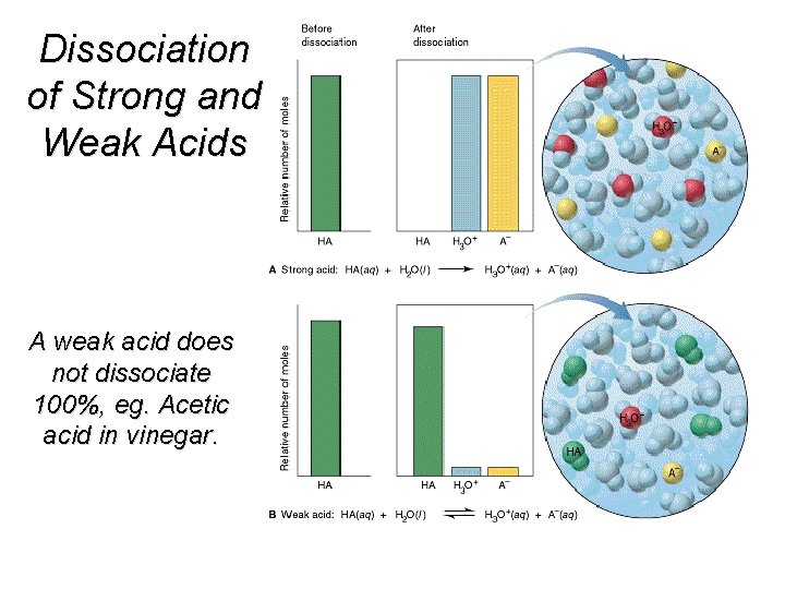 Dissociation of Strong and Weak Acids A weak acid does not dissociate 100%, eg.