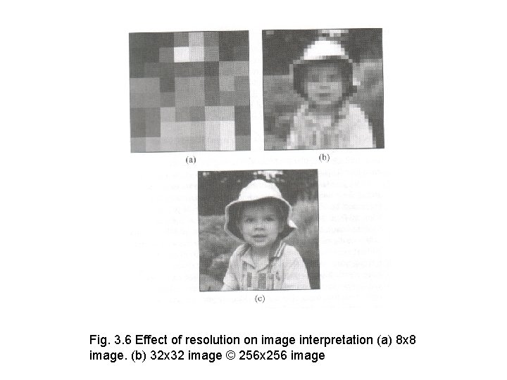 Fig. 3. 6 Effect of resolution on image interpretation (a) 8 x 8 image.