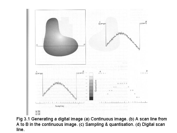 Fig 3. 1 Generating a digital image (a) Continuous image. (b) A scan line