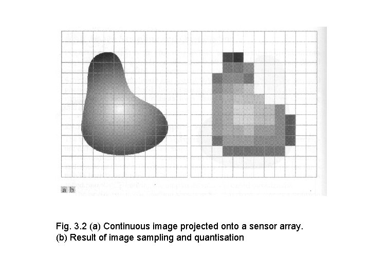 Fig. 3. 2 (a) Continuous image projected onto a sensor array. (b) Result of