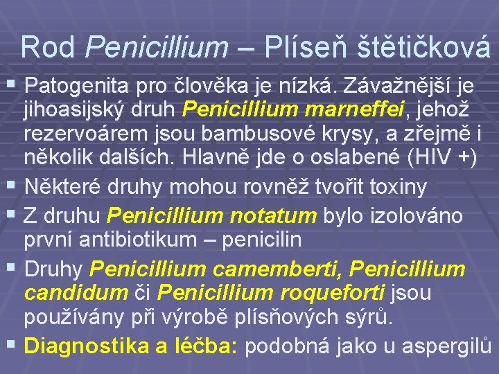 Rod Penicillium – Plíseň štětičková § Patogenita pro člověka je nízká. Závažnější je jihoasijský