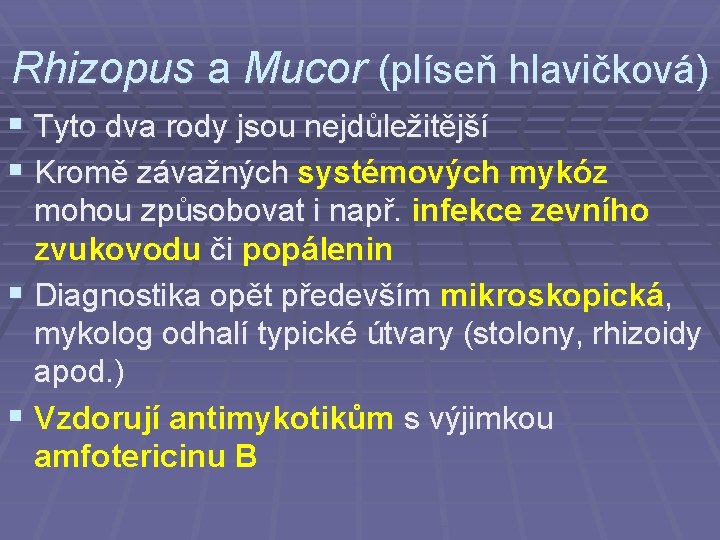 Rhizopus a Mucor (plíseň hlavičková) § Tyto dva rody jsou nejdůležitější § Kromě závažných