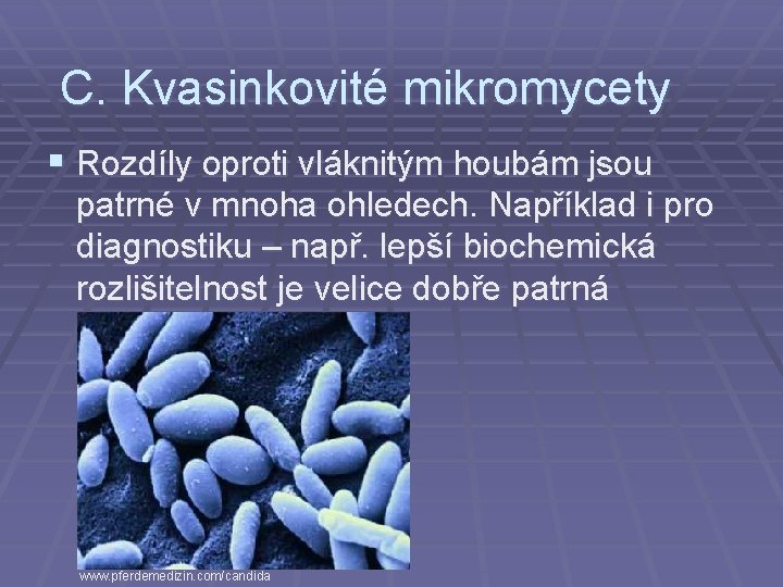 C. Kvasinkovité mikromycety § Rozdíly oproti vláknitým houbám jsou patrné v mnoha ohledech. Například