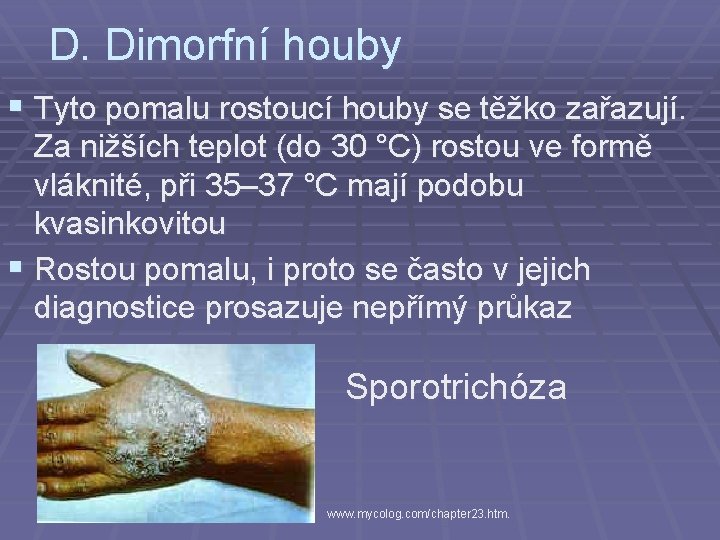 D. Dimorfní houby § Tyto pomalu rostoucí houby se těžko zařazují. Za nižších teplot