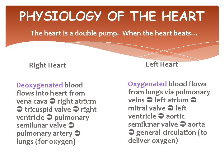 PHYSIOLOGY OF THE HEART The heart is a double pump. When the heart beats…