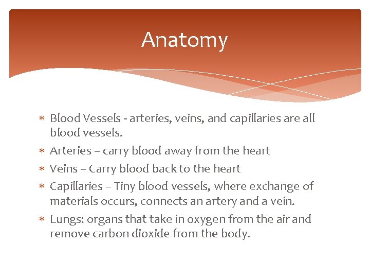 Anatomy Blood Vessels - arteries, veins, and capillaries are all blood vessels. Arteries –