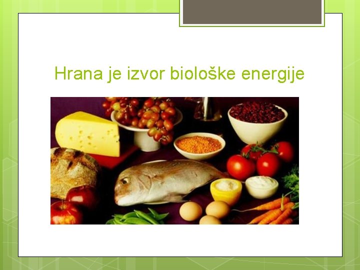 Hrana je izvor biološke energije 