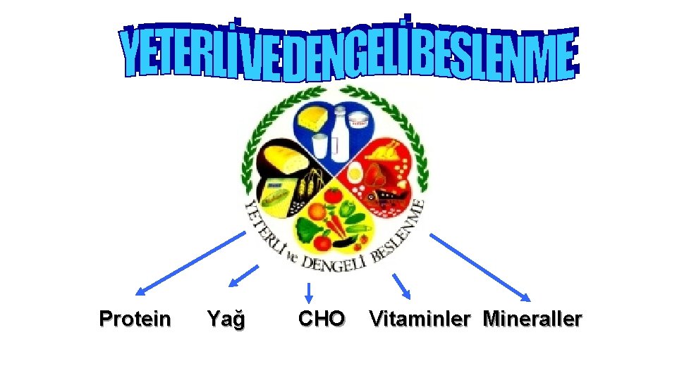 Protein Yağ CHO Vitaminler Mineraller 