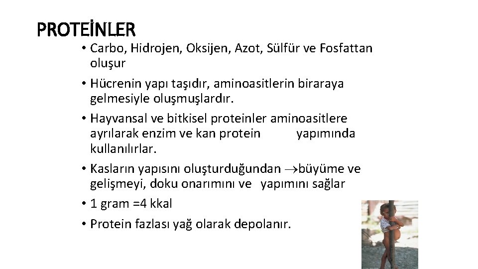 PROTEİNLER • Carbo, Hidrojen, Oksijen, Azot, Sülfür ve Fosfattan oluşur • Hücrenin yapı taşıdır,