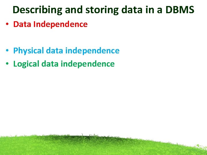 Describing and storing data in a DBMS • Data Independence • Physical data independence Describing and storing data in a DBMS • Data Independence • Physical data independence