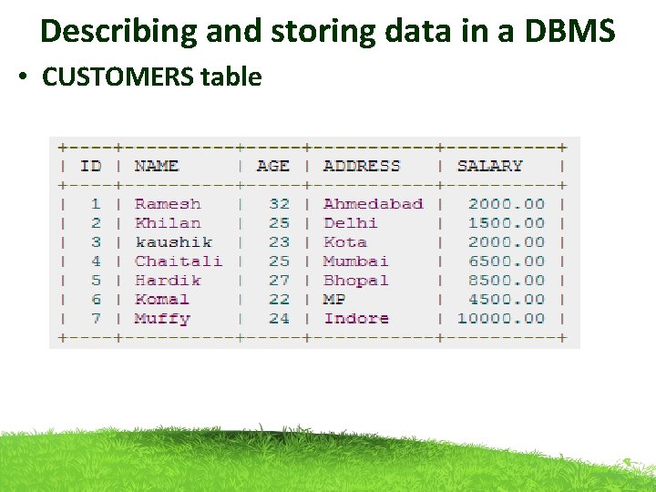 Describing and storing data in a DBMS • CUSTOMERS table 