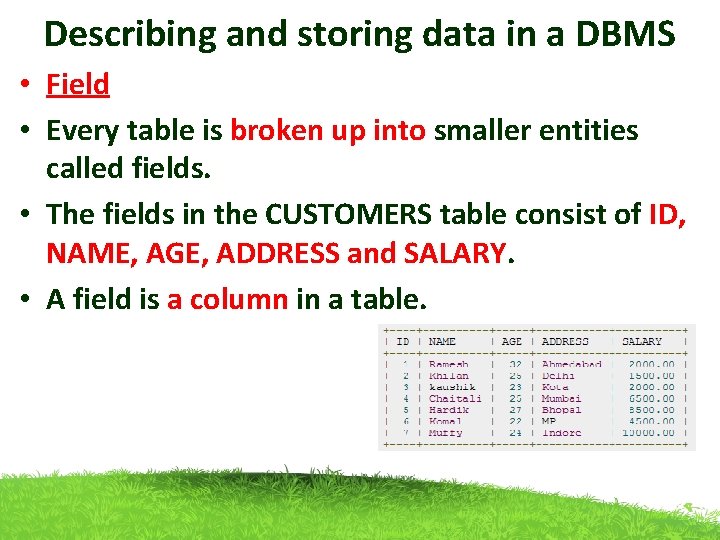 Describing and storing data in a DBMS • Field • Every table is broken