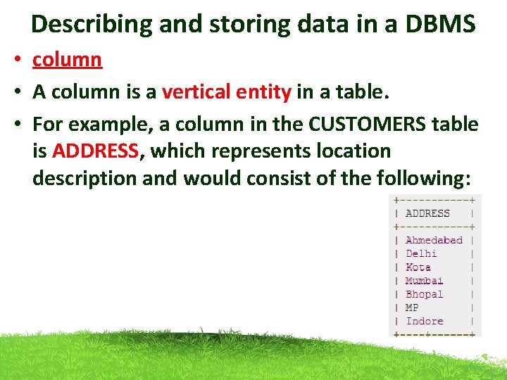 Describing and storing data in a DBMS • column • A column is a