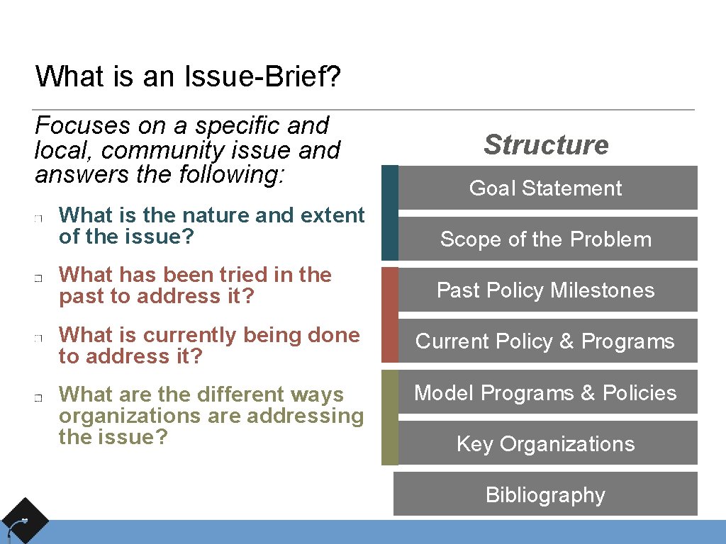 What is an Issue-Brief? Focuses on a specific and local, community issue and answers
