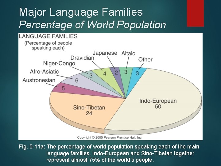 Major Language Families Percentage of World Population Fig. 5 -11 a: The percentage of