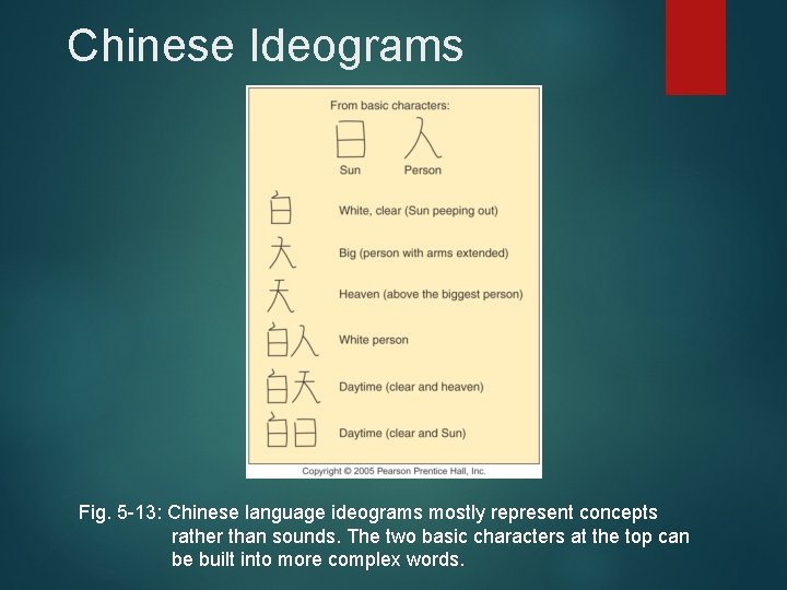 Chinese Ideograms Fig. 5 -13: Chinese language ideograms mostly represent concepts rather than sounds. Chinese Ideograms Fig. 5 -13: Chinese language ideograms mostly represent concepts rather than sounds.