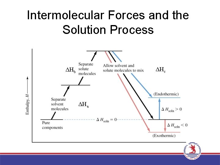 Intermolecular Forces and the Solution Process ΔHc ΔHb ΔHa 