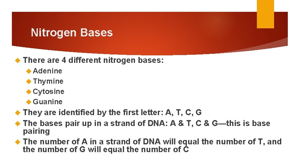 Unit 3 Genetics Part 1 Genetic Informaiton BOOK