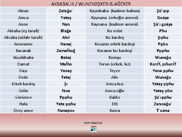 AKRABALIK / WUNEKOŞXER-BLAĞEXER Akran Amca Anne Akraba (eş tarafı) Akraba (sülale tarafı) Anneanne Bacanak