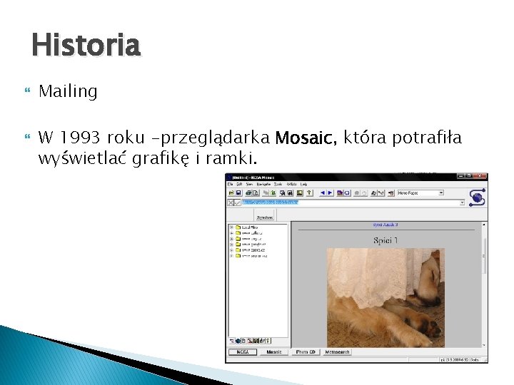 Historia Mailing W 1993 roku -przeglądarka Mosaic, która potrafiła wyświetlać grafikę i ramki. 