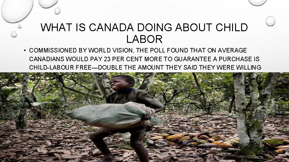 WHAT IS CANADA DOING ABOUT CHILD LABOR • COMMISSIONED BY WORLD VISION, THE POLL