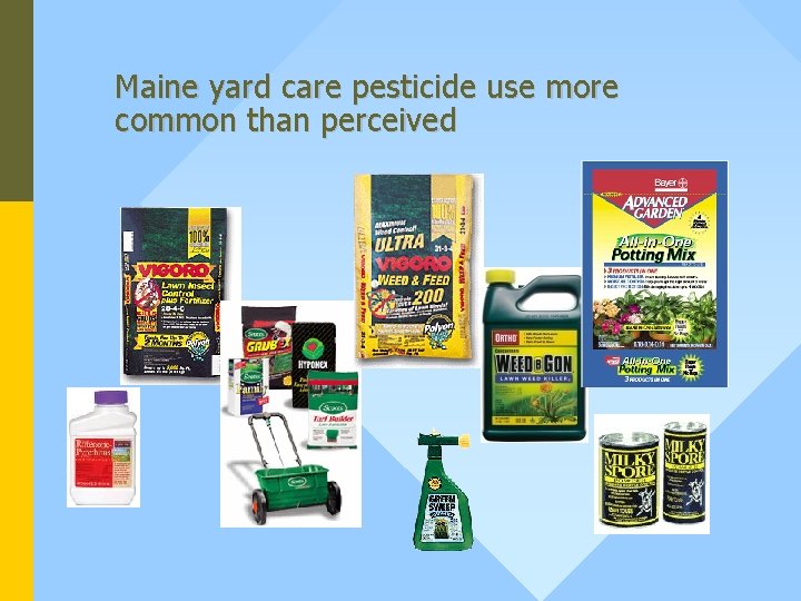 Maine yard care pesticide use more common than perceived 