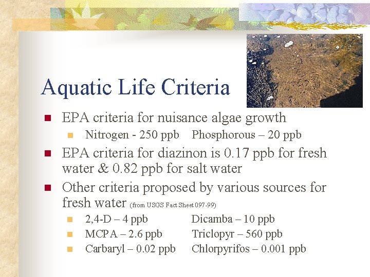 Aquatic Life Criteria n EPA criteria for nuisance algae growth n n n Nitrogen