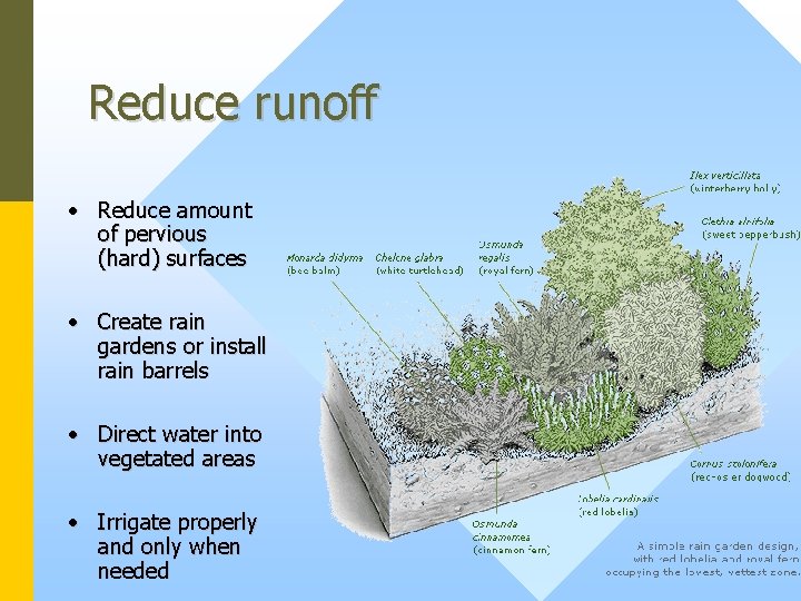 Reduce runoff • Reduce amount of pervious (hard) surfaces • Create rain gardens or