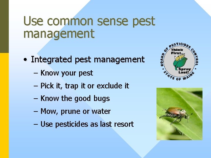 Use common sense pest management • Integrated pest management – Know your pest –