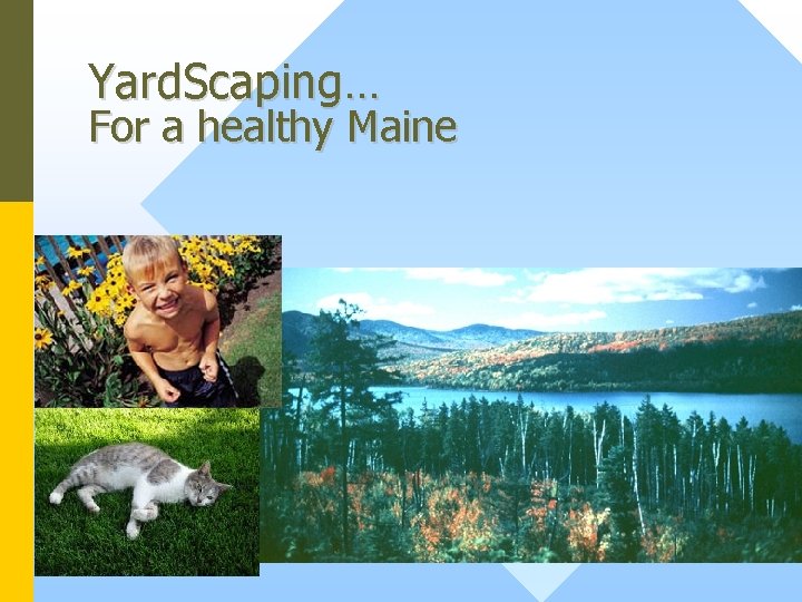 Yard. Scaping… For a healthy Maine 