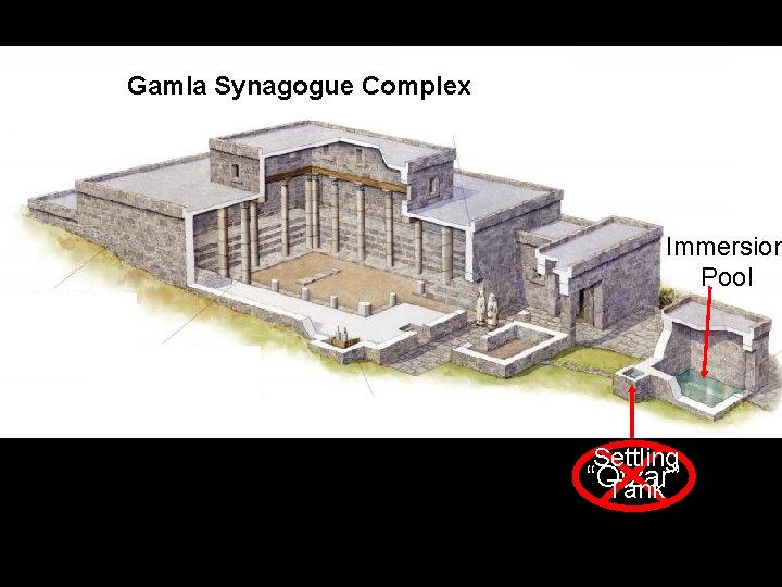 Gamla Synagogue Complex Immersion Pool Settling “Otzar” Tank 