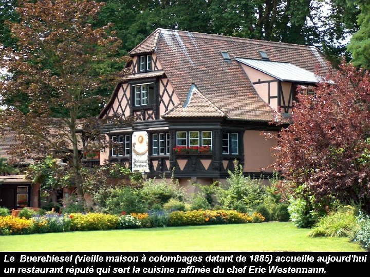 Le Buerehiesel (vieille maison à colombages datant de 1885) accueille aujourd'hui un restaurant réputé