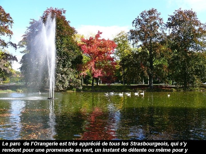 Le parc de l’Orangerie est très apprécié de tous les Strasbourgeois, qui s'y rendent