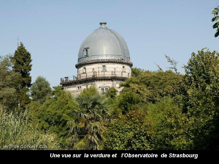 Une vue sur la verdure et l'Observatoire de Strasbourg 