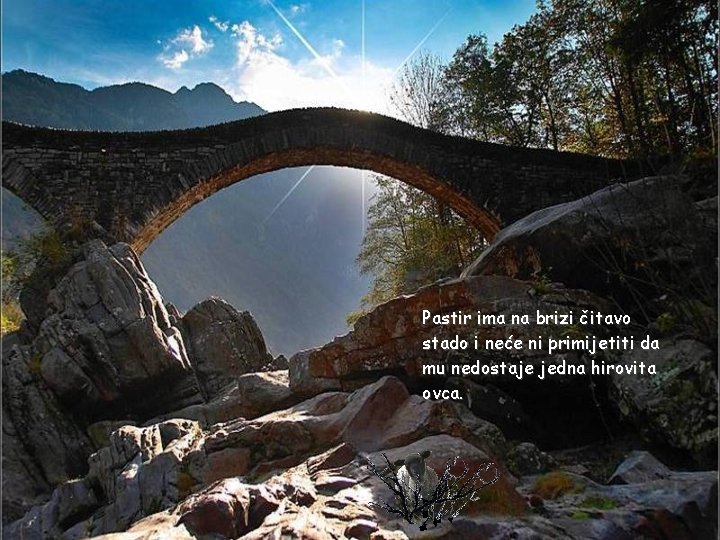 Pastir ima na brizi čitavo stado i neće ni primijetiti da mu nedostaje jedna