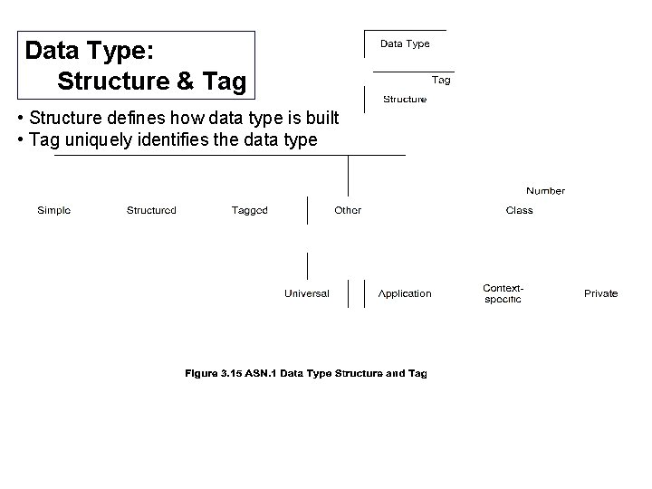 Data Type: Structure & Tag • Structure defines how data type is built •