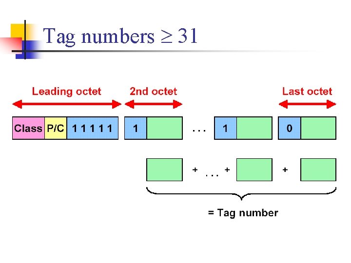 Tag numbers 31 Tag numbers 31