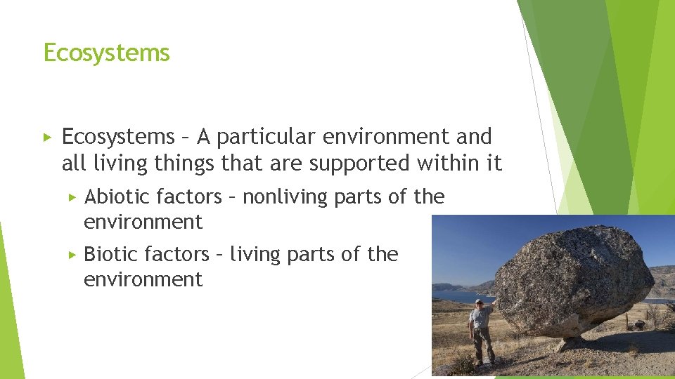 Ecosystems ▶ Ecosystems – A particular environment and all living things that are supported