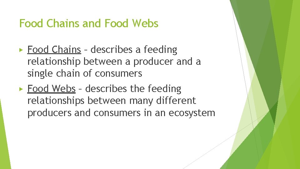 Food Chains and Food Webs ▶ Food Chains – describes a feeding relationship between