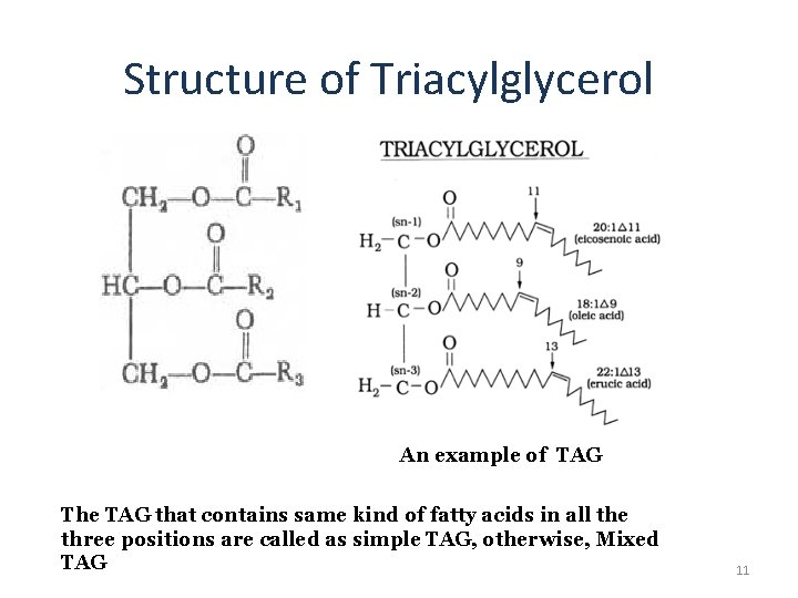 Structure of Triacylglycerol An example of TAG The TAG that contains same kind of