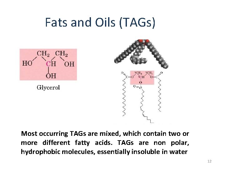 Fats and Oils (TAGs) Most occurring TAGs are mixed, which contain two or more