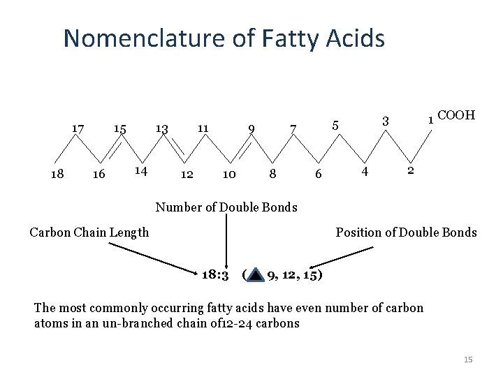 Nomenclature of Fatty Acids 17 18 15 16 13 14 11 12 9 10