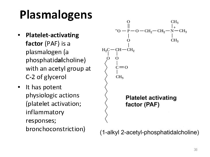 Plasmalogens • Platelet-activating factor (PAF) is a plasmalogen (a phosphatidalcholine) with an acetyl group