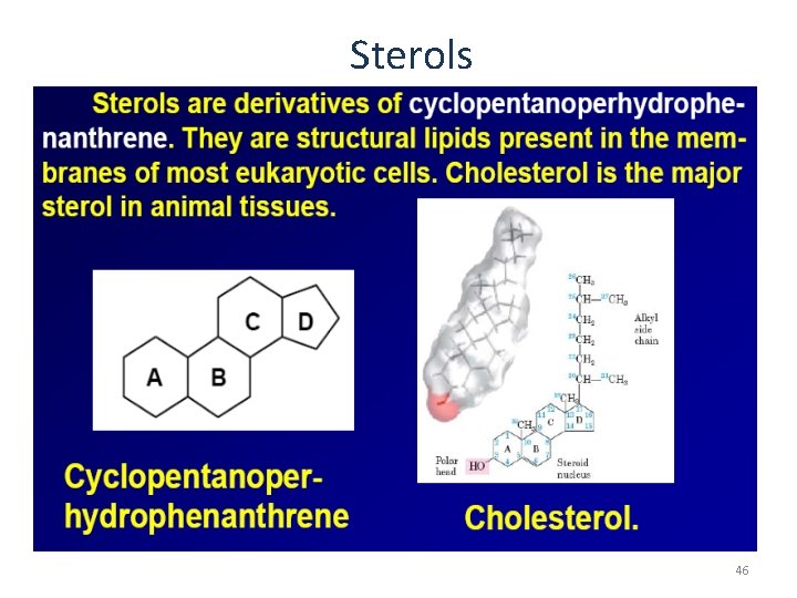 Sterols 46 