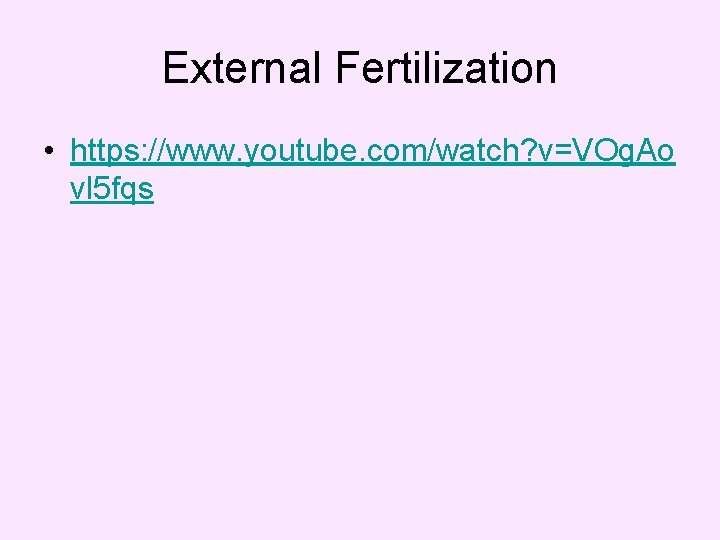 External Fertilization • https: //www. youtube. com/watch? v=VOg. Ao vl 5 fqs 