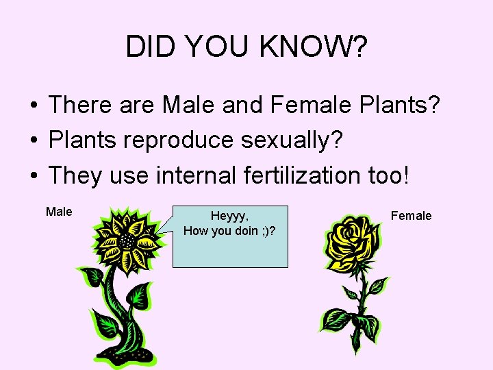 DID YOU KNOW? • There are Male and Female Plants? • Plants reproduce sexually?