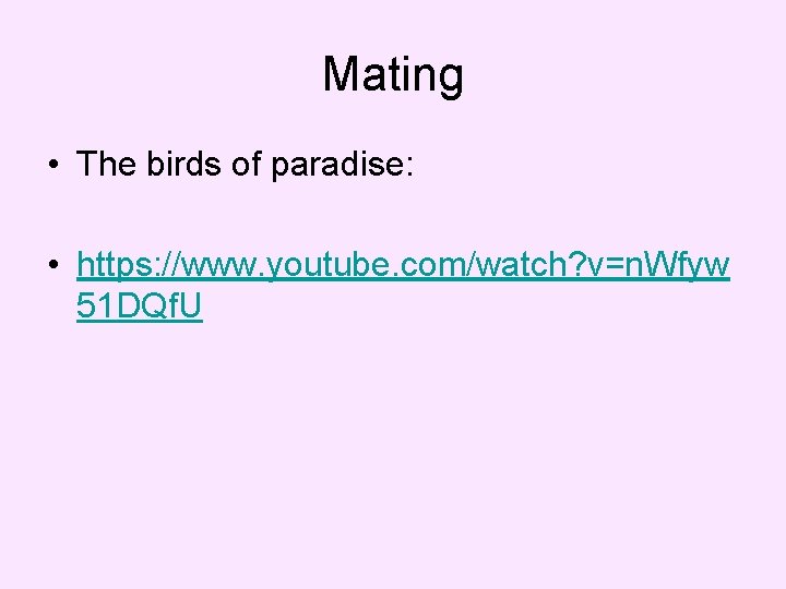 Mating • The birds of paradise: • https: //www. youtube. com/watch? v=n. Wfyw 51