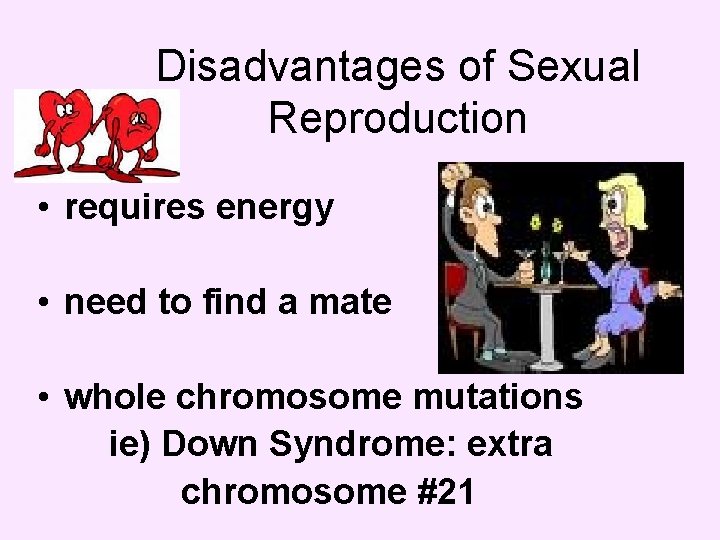 Disadvantages of Sexual Reproduction • requires energy • need to find a mate •