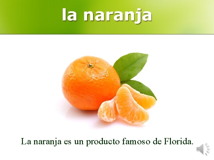 la naranja La naranja es un producto famoso de Florida. 