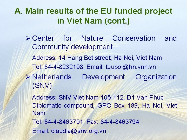 A. Main results of the EU funded project in Viet Nam (cont. ) Ø